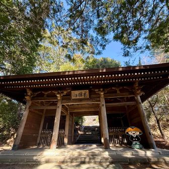 立派な山門出ると右にこうやくん、お次はグレー4座へ