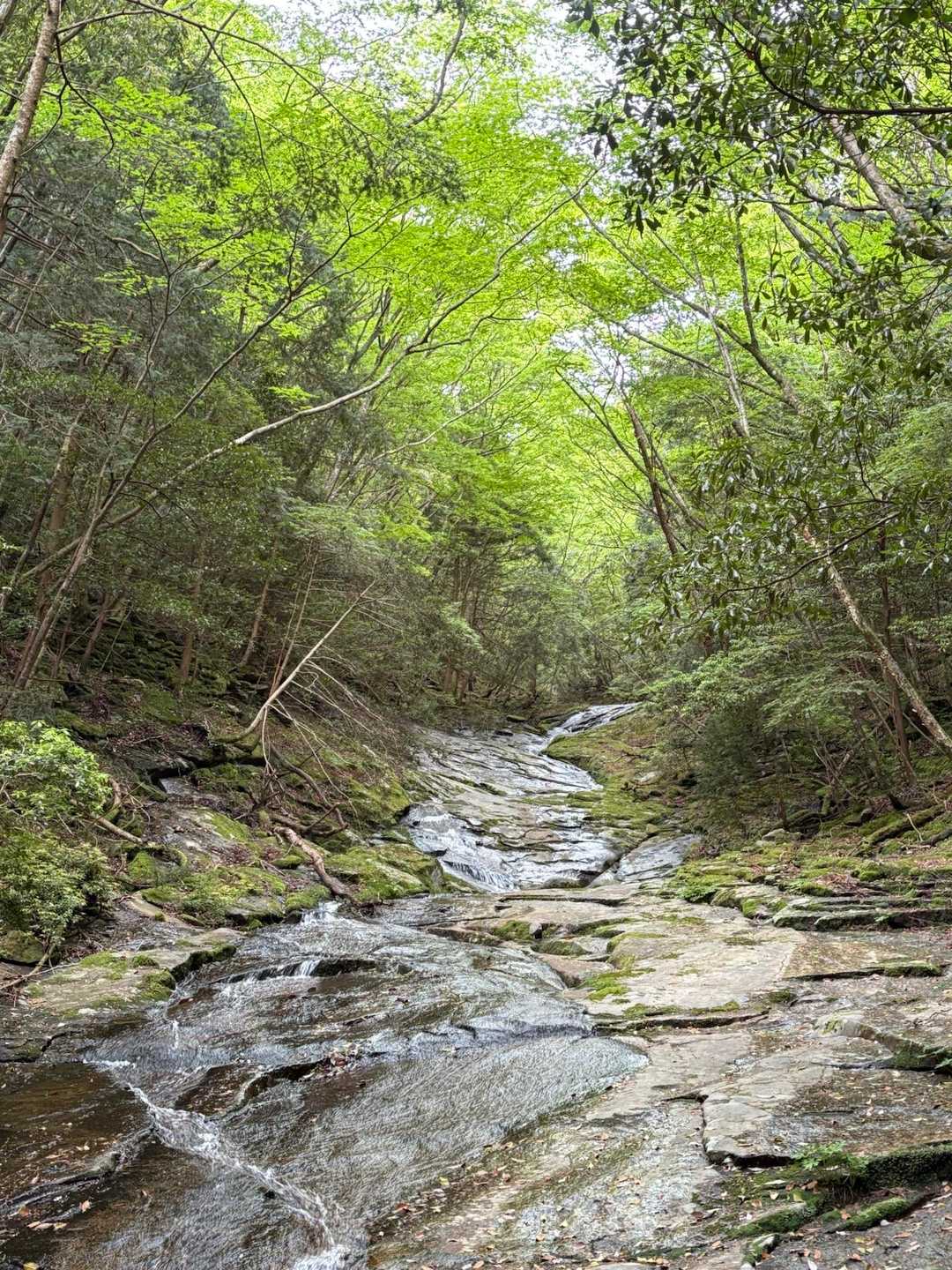 三本杭-御祝山 周回コースの写真
