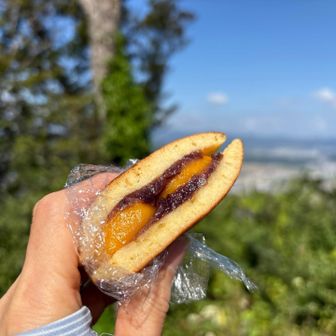 半分に切ってあった方が食べやすかった。一個半ぺろり
