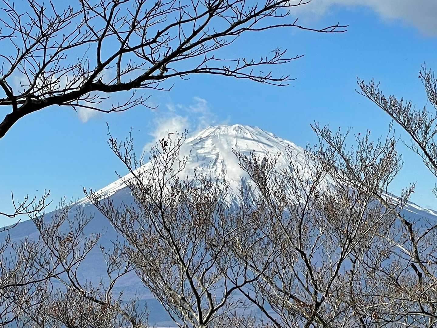 下山開始10分。あれ？もしかして雲取れてない？
