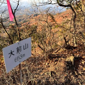 大前山山頂⛰️
景色望めず