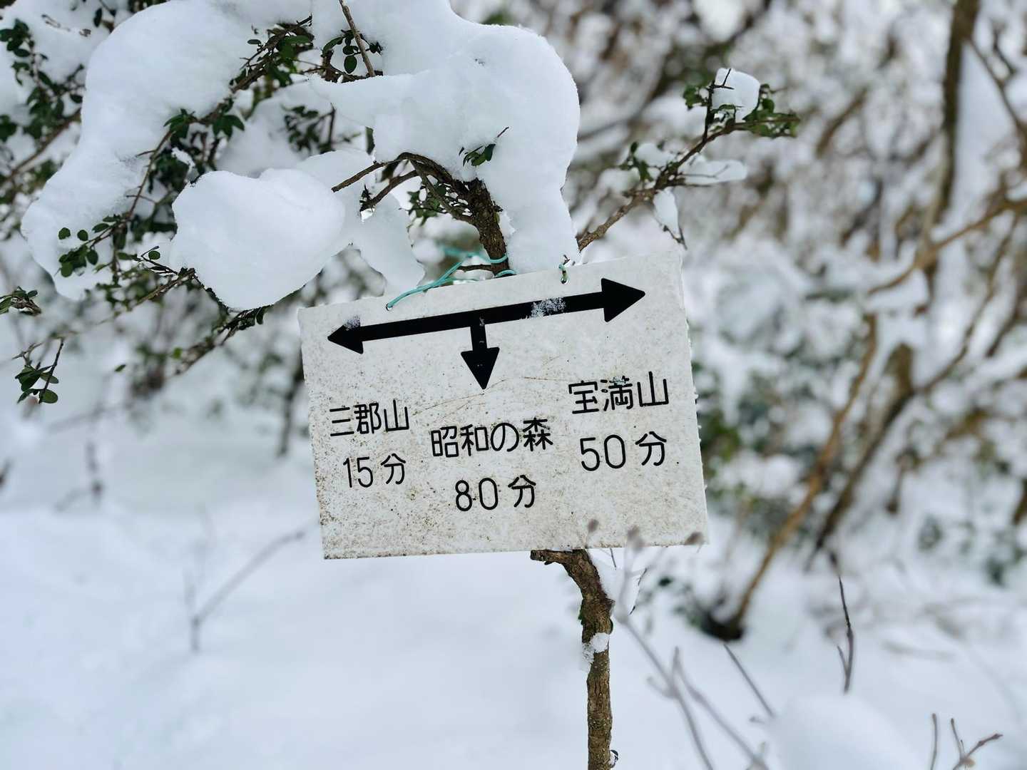 友人は頭巾山に登ってすっかり下山出来るものだと思ってたようですが、三郡山まで後15分お願いして付き合ってもらいました🤓
