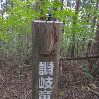讃岐竜王山　1050m
少し休んで出発💪折り返す