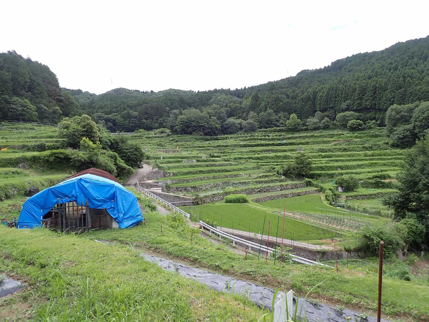 右手に高山棚田を眺めスタート