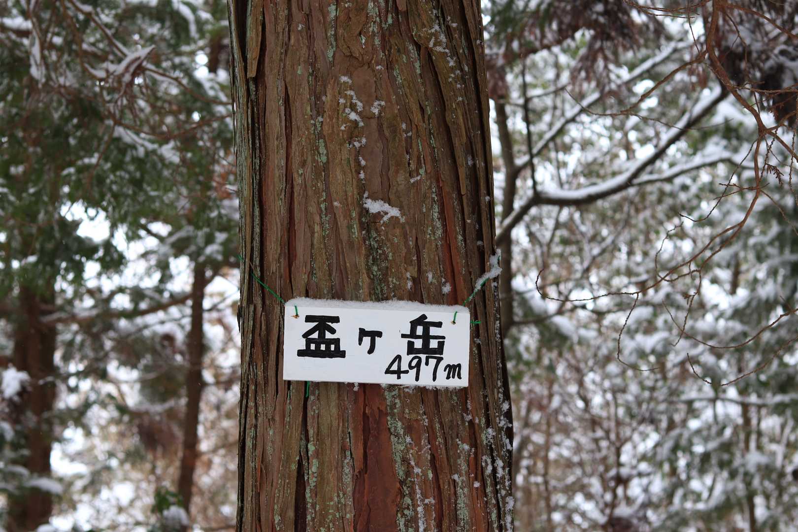 盃ヶ岳に到着
山頂は木々に囲まれているので、もし晴れていても眺望はありません。