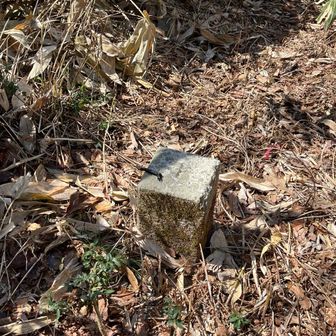 三角点。糞付き。、