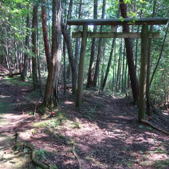 分岐を右へ