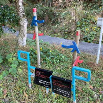 いつもは山友と来るんで山コースだけど、今日は海コース