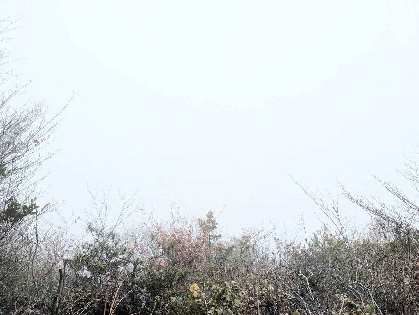 もし「300座占い✨」があるとしたら「あなたの将来は真っ白の霧の中」
ん？「お先真っ暗⚫️」はいかんけど、白いのは悪くないのか？
とりあえず「何ごとも無我夢中になって頑張れ！！」って事にしとこうか？😁
