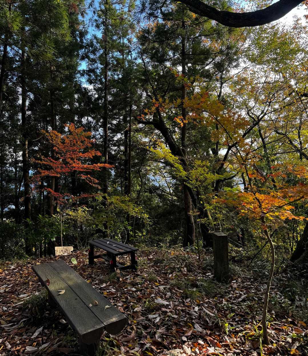 花筐公園コース登山口-行司岳-南三里山-三里山 周回コースの写真