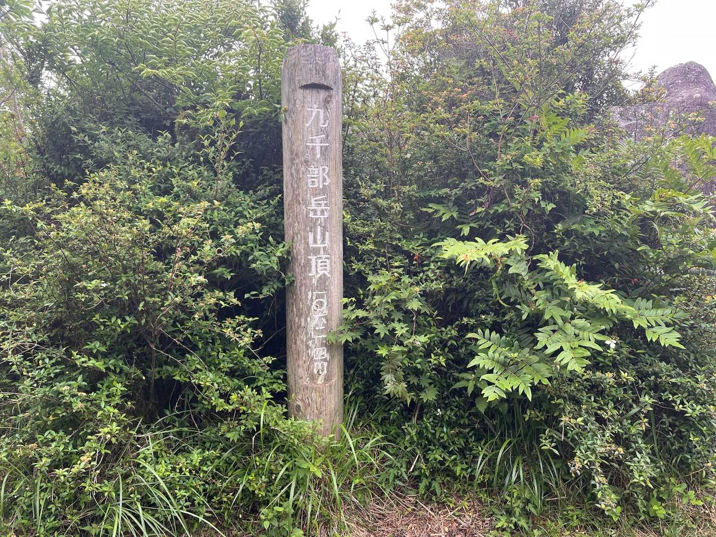 九千部岳 往復コースの写真