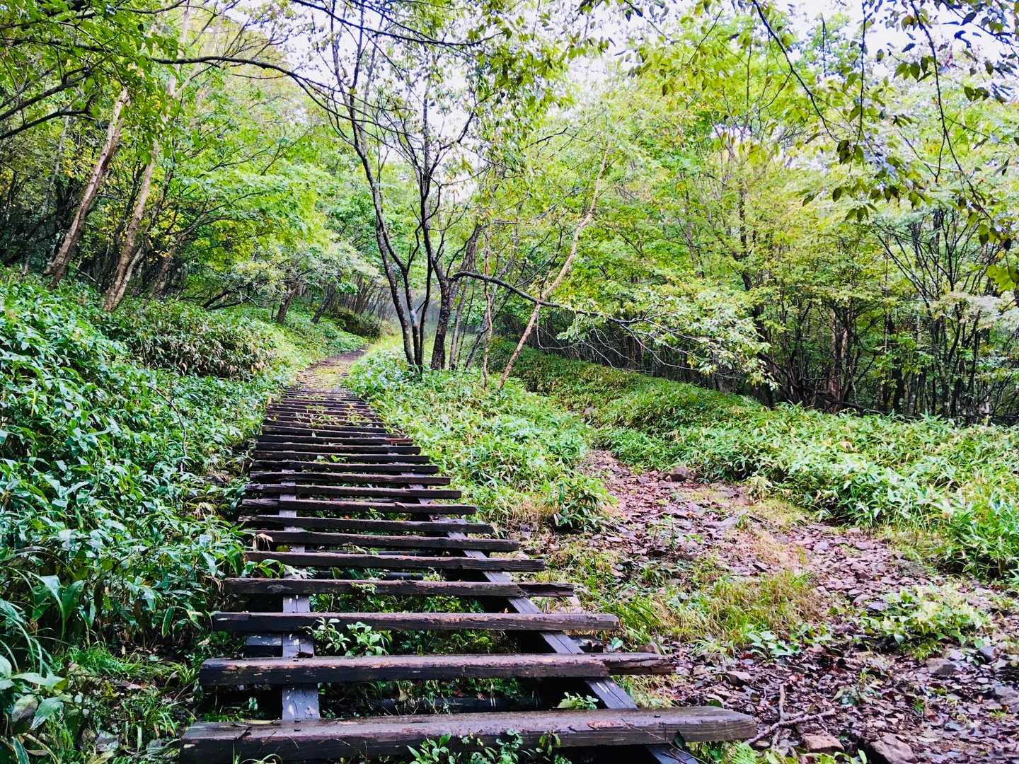 長七郎山-八丁峠-地蔵岳登山口-地蔵岳 周回コースの写真