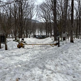 無事駐車場に戻ってきました。