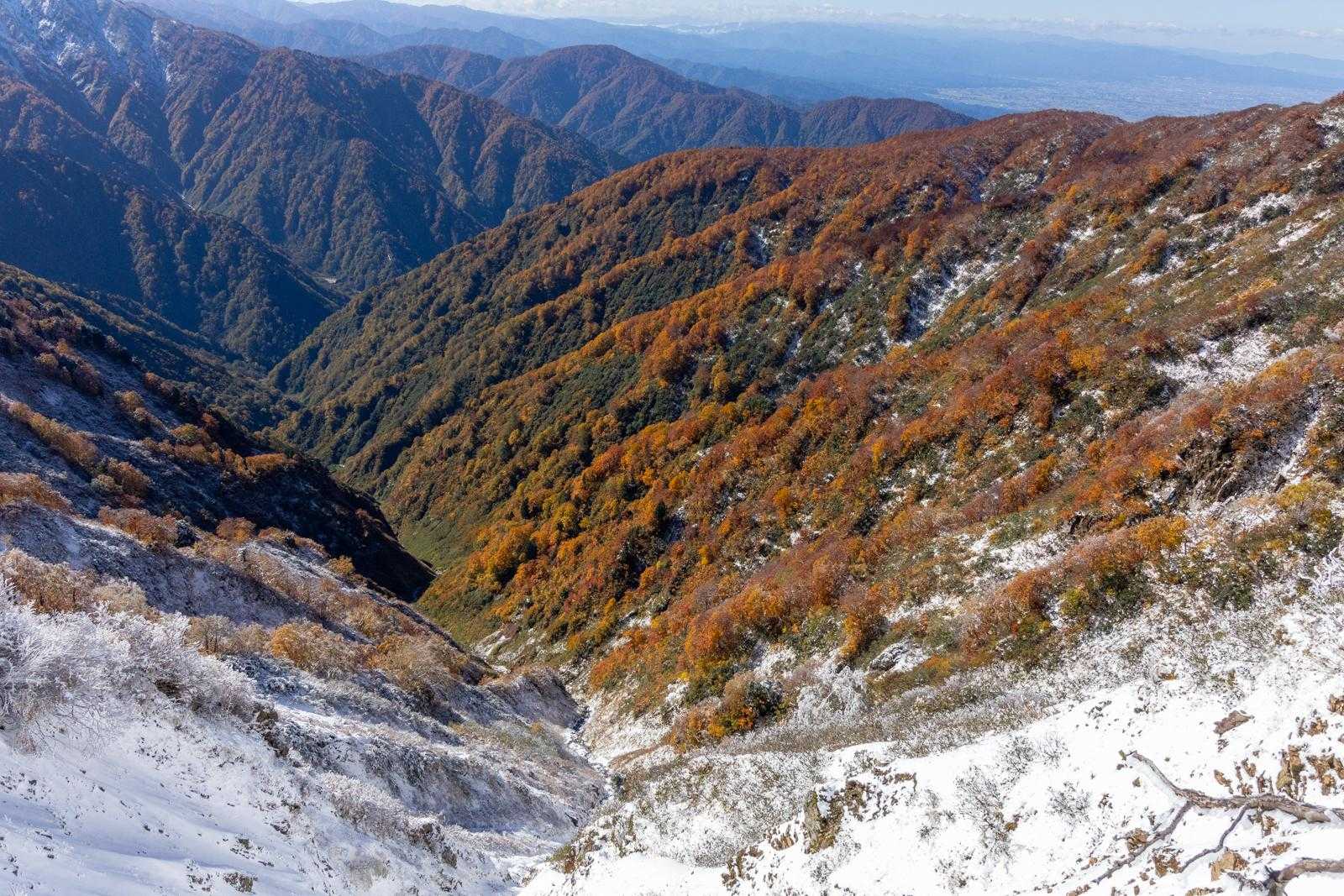 はー、きれい。ここでも歩みが遅くなります。