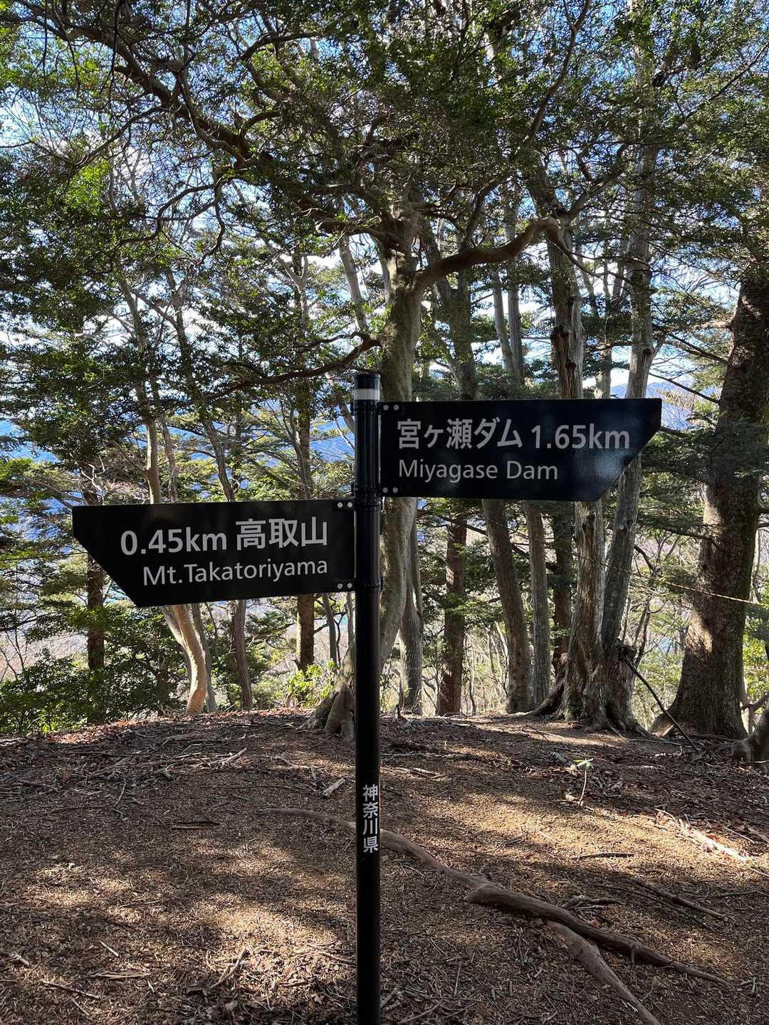 下山の時に撮りました。
この標識のおかげで、偽ピークみたいな所で引き返す所でした。
0.45kmの距離感なかったです。