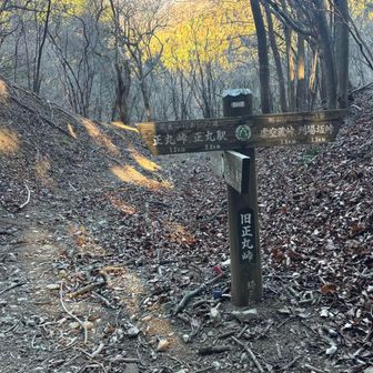 久々の旧正丸峠。前回は左折して伊豆ヶ岳へ。
ここまでで軽く汗をかかされたのに、尾根は風が冷たい🥶