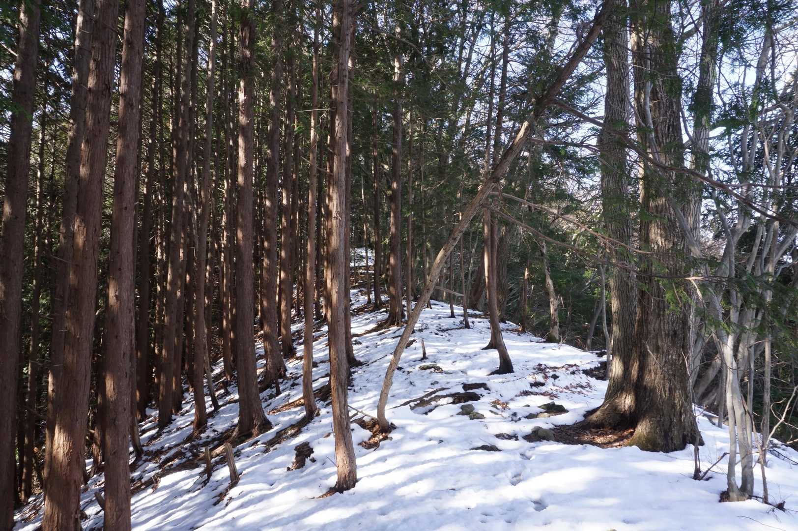 この辺りは雪が多かったなぁ