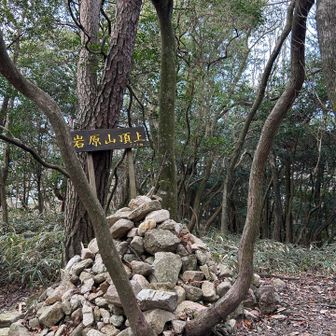 岩原山へ寄り道
本日神戸と宝塚の最高峰登頂