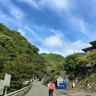 朝の時点では晴れてる🙌
伊勢原駅からのバスは満席➕立っている方も
午後☔️予報出てたのに😳