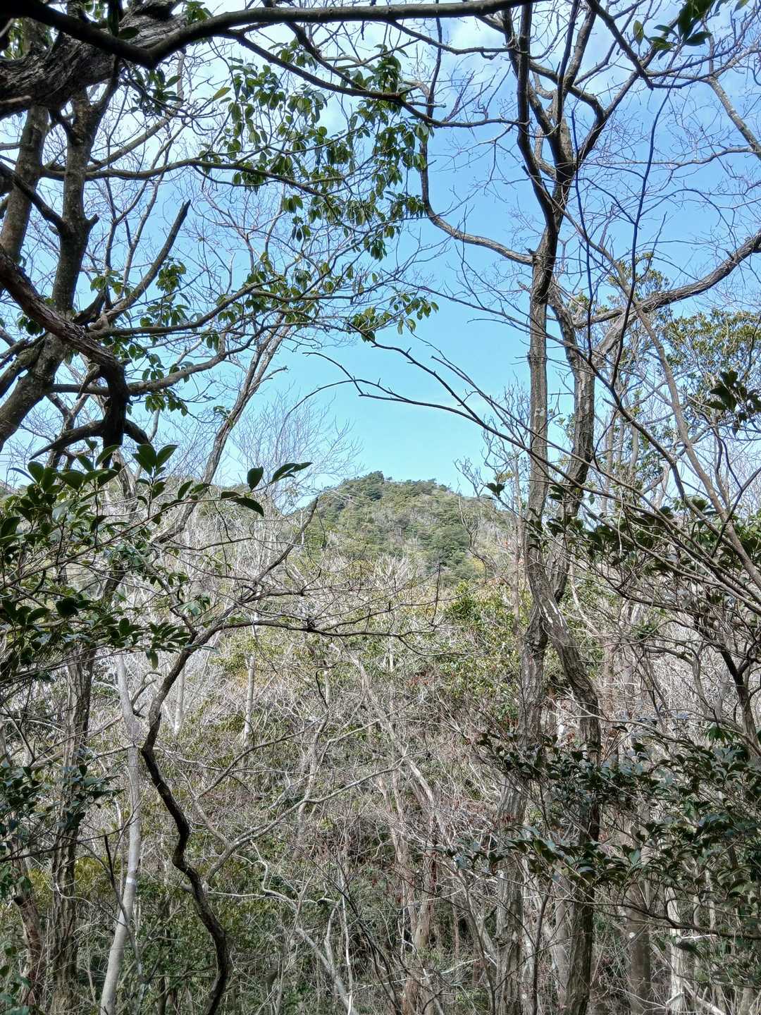 先に小麦ヶ岳へ向かいます。