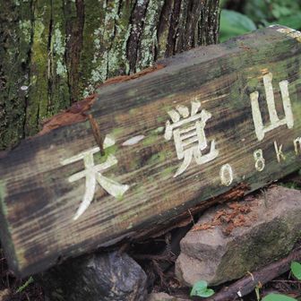 そういえば、「天覚山」の読みは？
山と渓谷：てんかくさん
ヤマレコ：てんかくざん
YAMAP：てんかくやま

うーん、「てんかくやま」は無い気がするんだが…