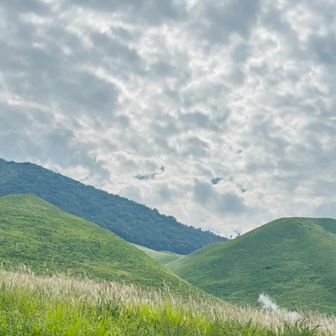 左小にぎり山、右おにぎり山🍙🍙