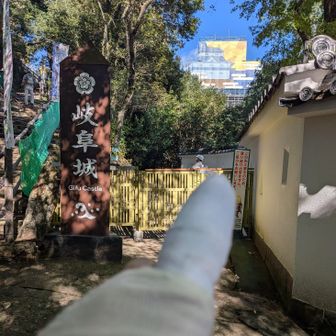 ２度目山頂到着

ここで85歳の3人グループのマダム達が話しかけてくれて
（横浜、奈良、岐阜からみえて）
私も仲間に入り、話が盛り上がり。
ここでもう帰ろうかと思ったけど3人と一緒にもう一度お城の方へ