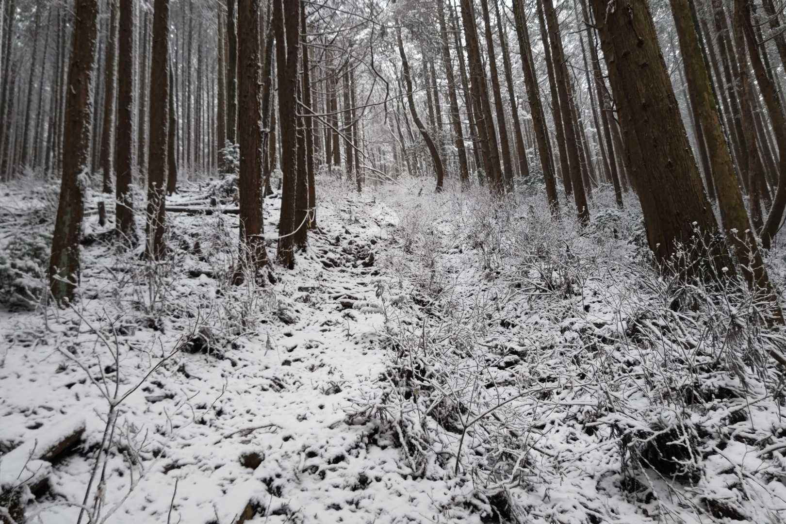 急登になりました💦