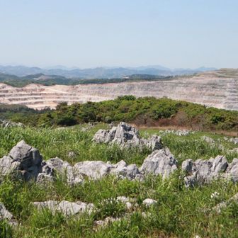 山頂から見えました