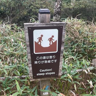 ここからブルーでした