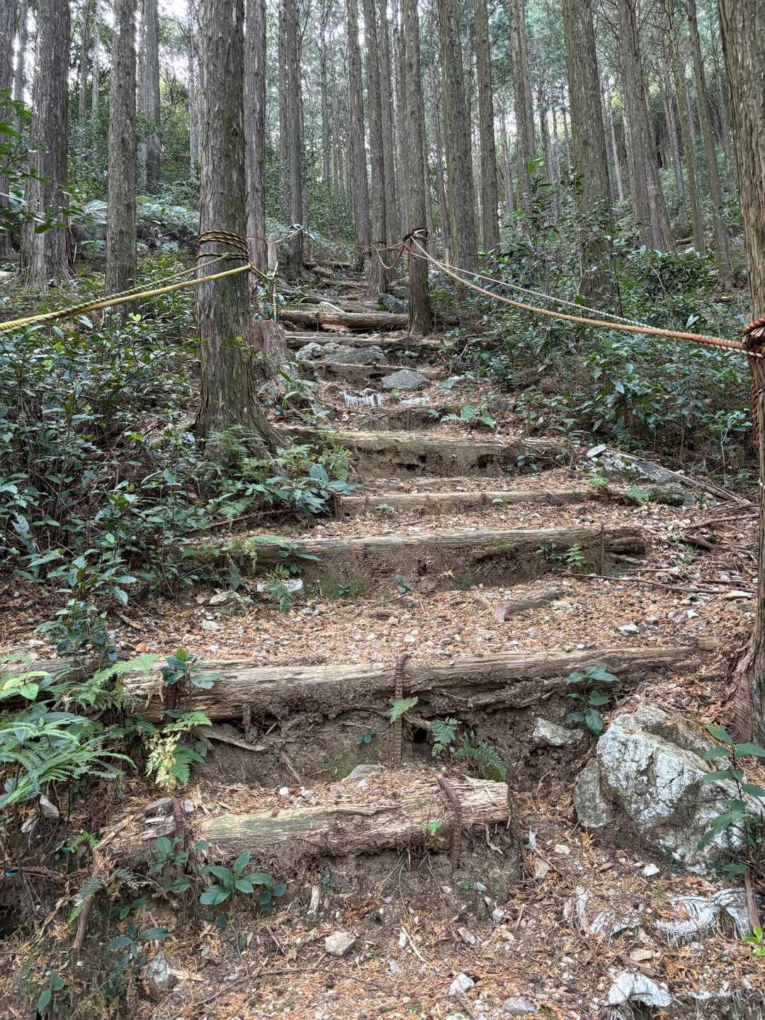 この階段、初めて来た時は本当にしんどかった💦あれから何年、こういうのあるあるやねぇって思う自分。