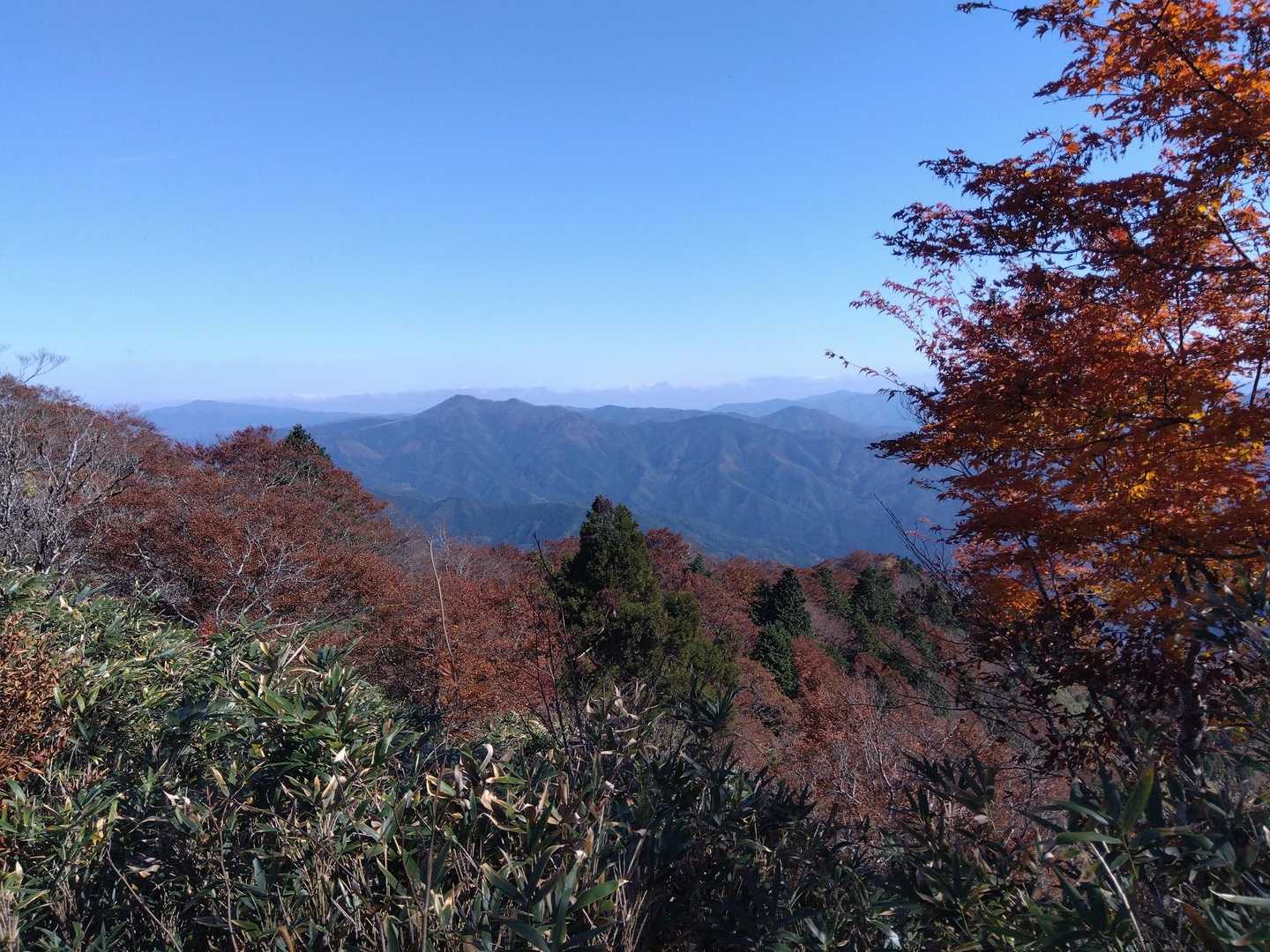 色づいた紅葉🍁からの眺望も素敵で