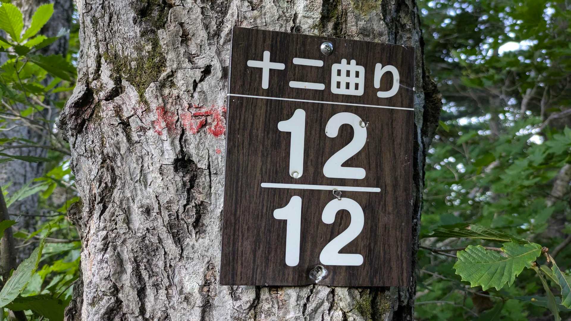 休暇して🍙