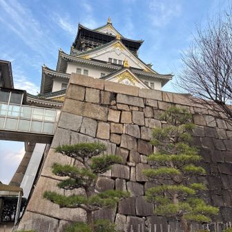 天守閣、今日は休館日でした🥲