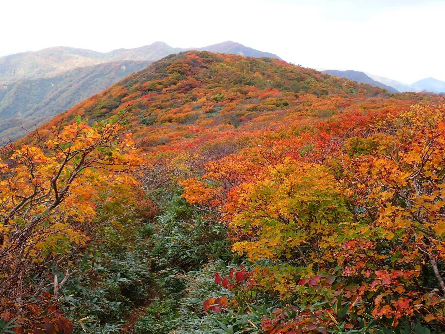 紅葉🍁時期のこの稜線は、歩くだけの価値あり❗
今日は誰とも会いませんでした