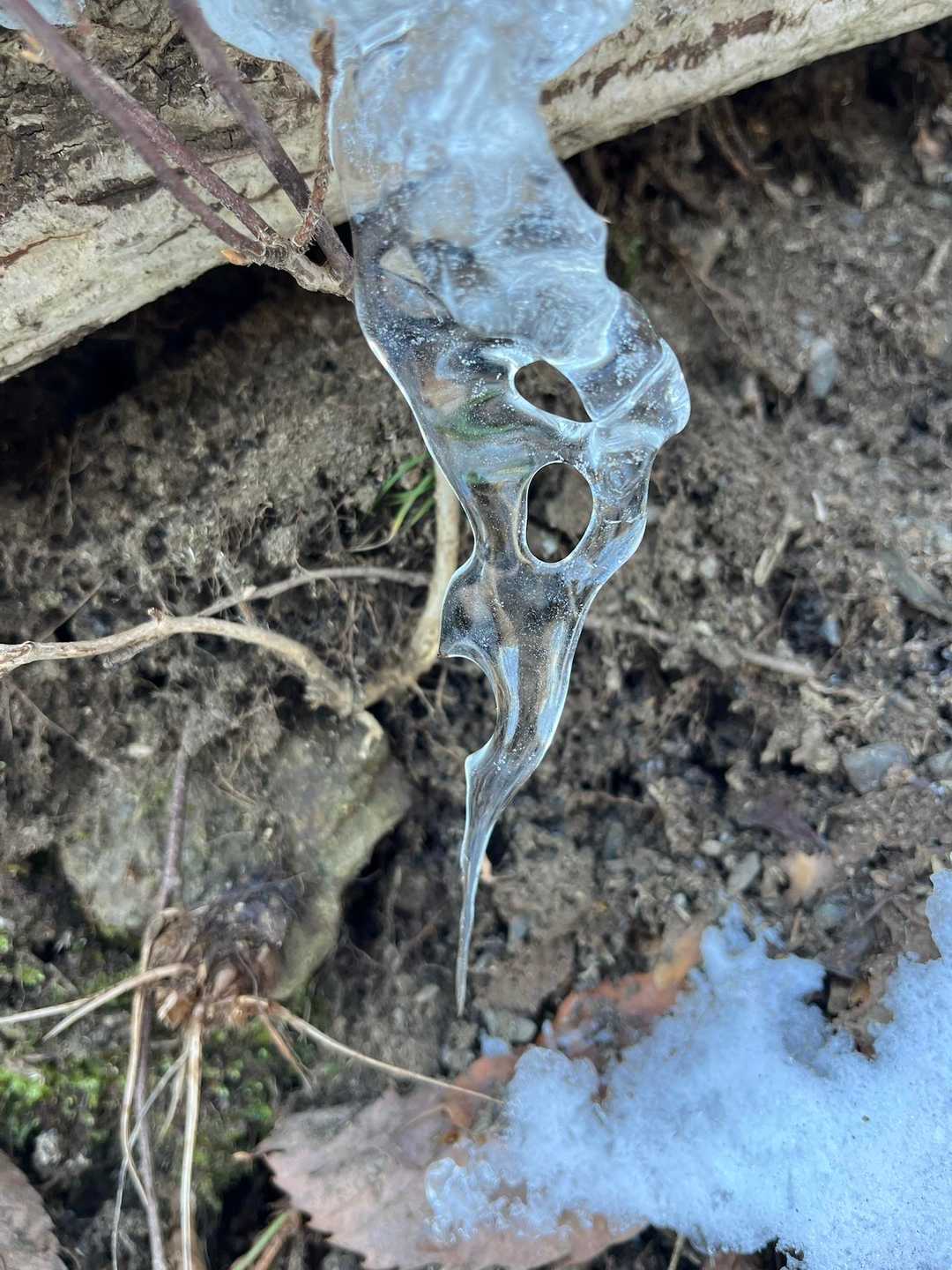 面白い形の氷柱❄️🫧

