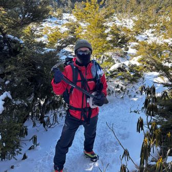 おニューのアイテムを色々試してみました