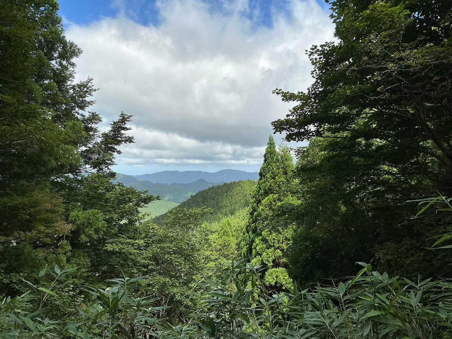 辛い階段をボチボチと上がってきて、ようやく景色が見え始めてきた。
