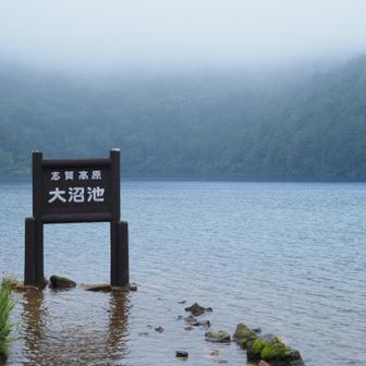大沼池到着。
うわあ、幻想的が形骸化してくる！