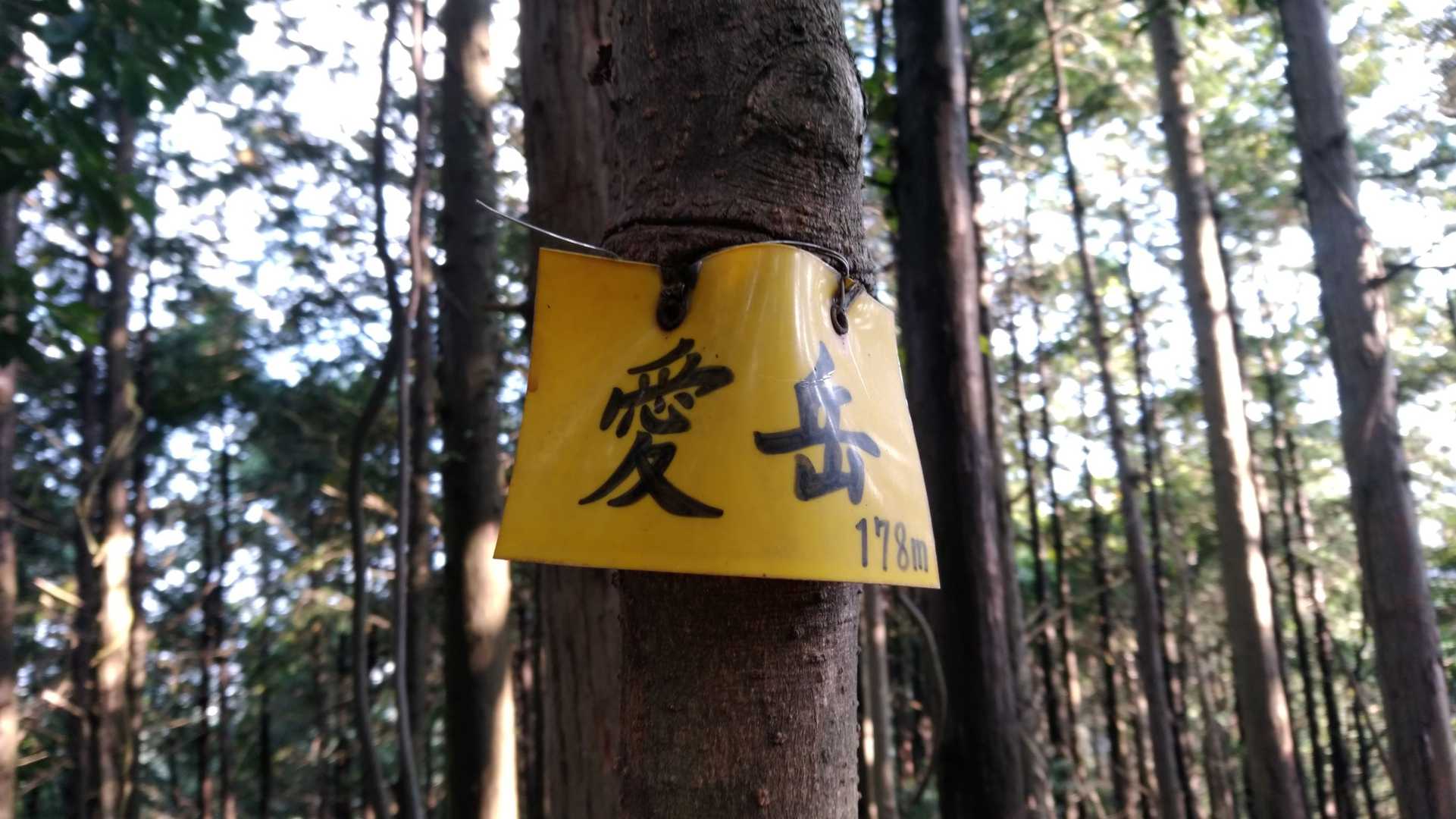 愛岳　頂上。①