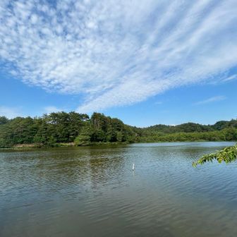 五頭連峰縦走後YAMAP地図🗺️を観るとクールダウンに程良い散歩コースを見つけてしまいました😏
僅か4㌔に6座の周回コース🐾
これは回るしかないでしょう⛹🏻‍♂️