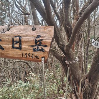 大日岳、着きました
残るは金剛山のみ
ライブカメラの撮影時間でキリのいい12時ちょうどに間に合わせる為に急ぎますよ