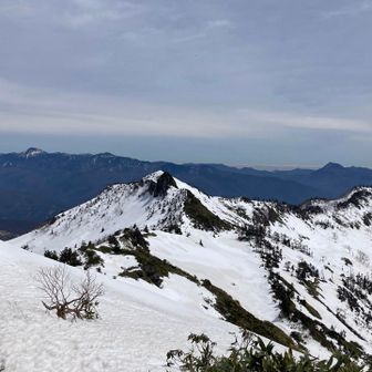 東にはとんがり頭の山がひょっこり✨
左に日光白根山🏔️ 右に皇海山⛰️
百名山祭りが止まりません🎶