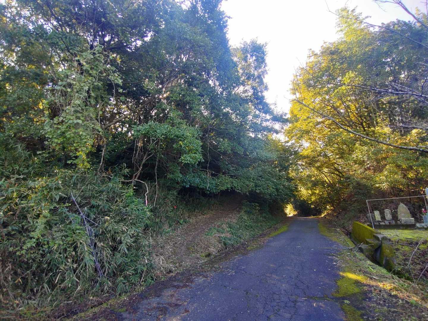 今回も雌上佐山への直登ルートは見送り
ここから