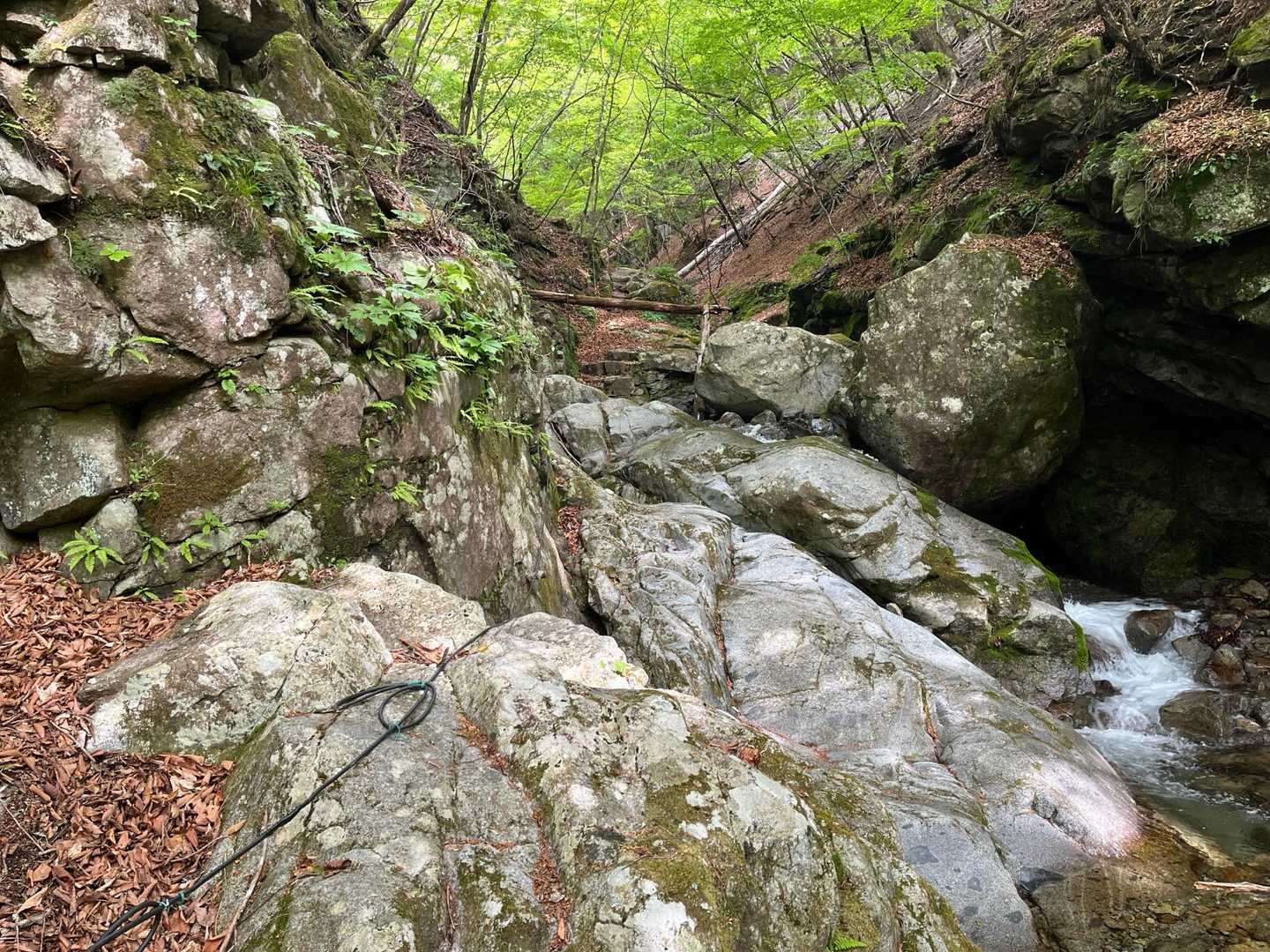 渡渉して沢沿いに進む