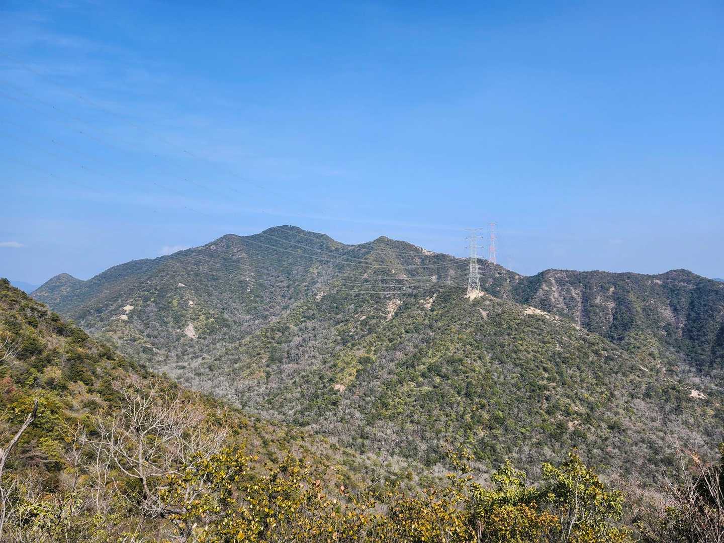 山口登山口-大坂山 周回コースの写真