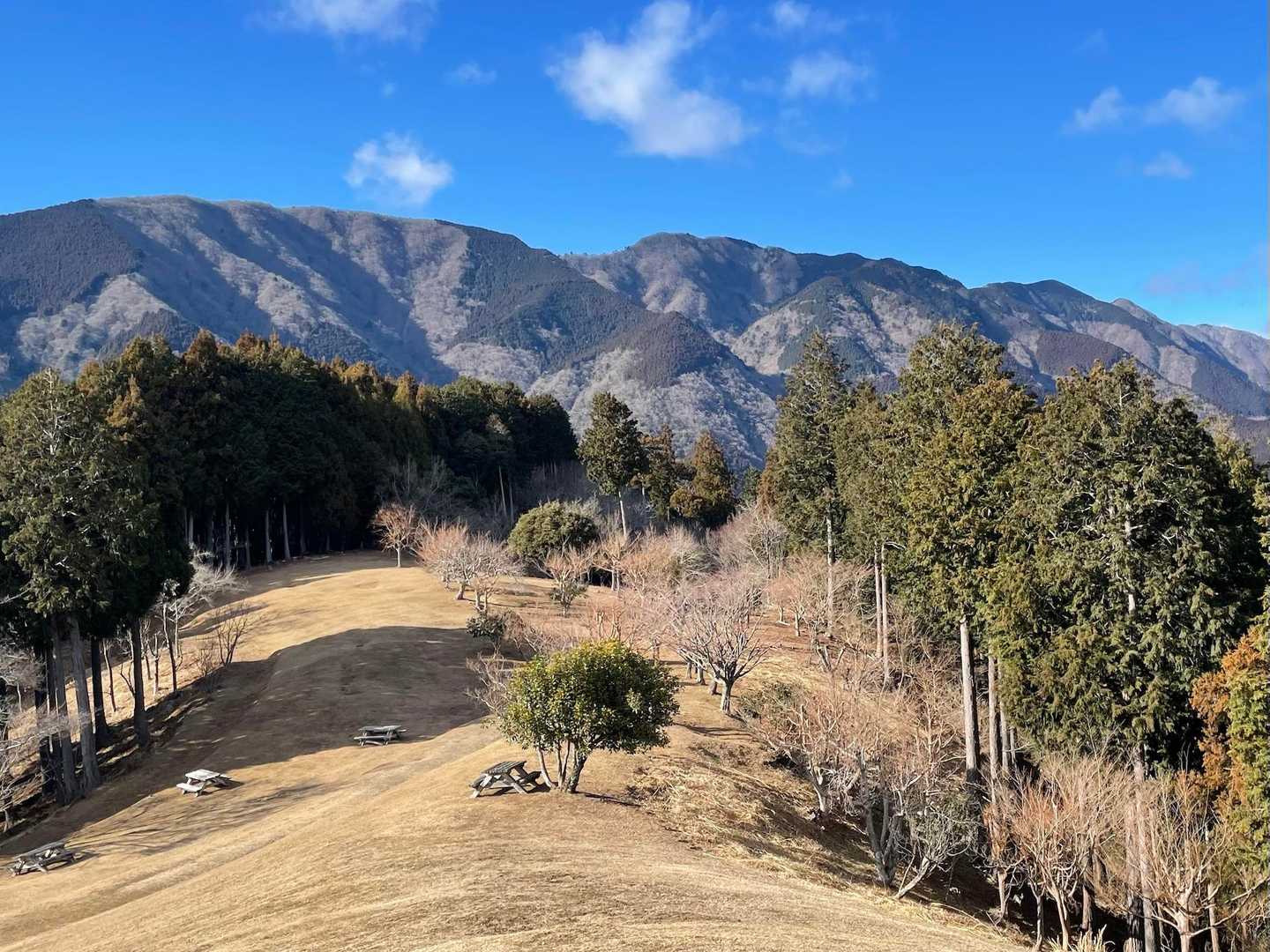 北側、芝生広場からの安倍東山稜
イイ眺め🙂
