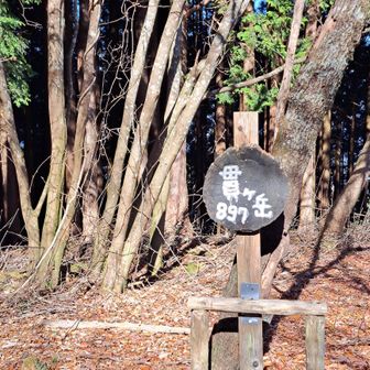 展望はありませんが到着