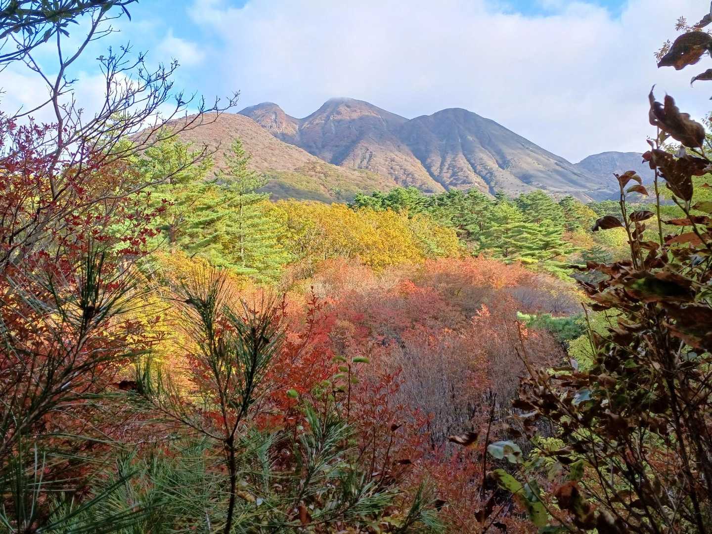 三俣山と紅葉に陽が当たって綺麗です🍁✨