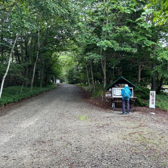 先行者は2組のみ